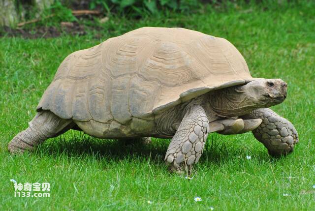 2023052315482441.jpg 6.jpg