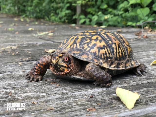 2023052323797132.jpg 8.jpg