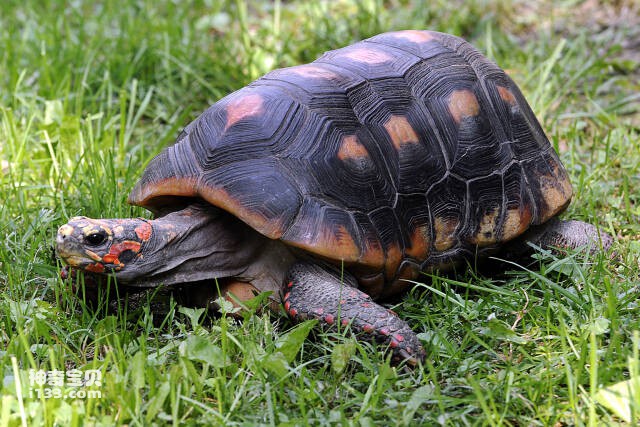 2023052357286024.jpg 5.jpg