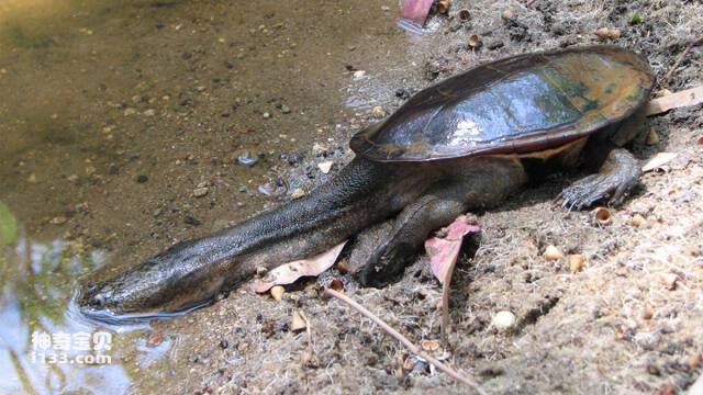 2023052388809127.jpg 4.jpg