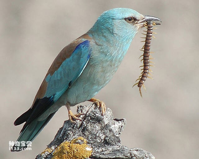 2023052713949291.jpg 7.jpg