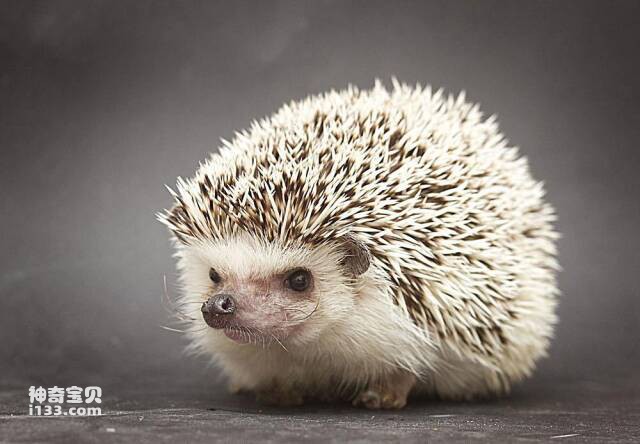 2023052715149667.jpg 9(1).jpg