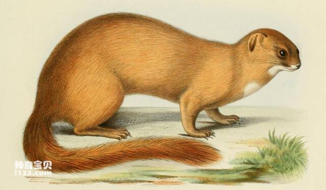 2023052721338609.jpg 4.jpg