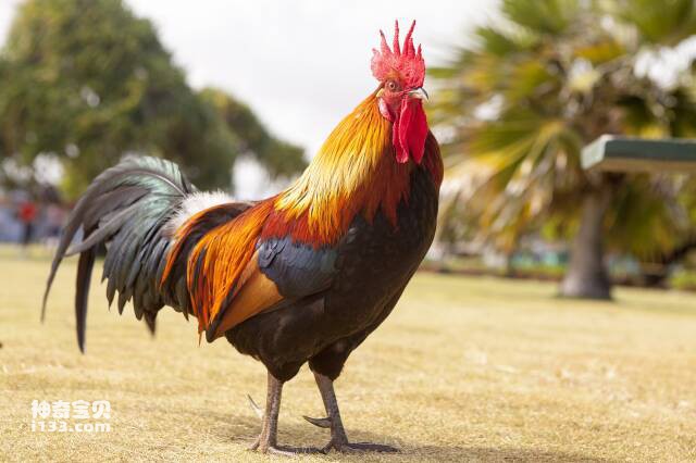 2023052746628505.jpg 10.jpg