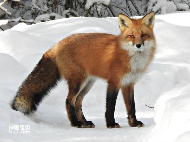 2023060510553524.jpg 屏幕快照 2023-06-05 下午8.14.21.jpg