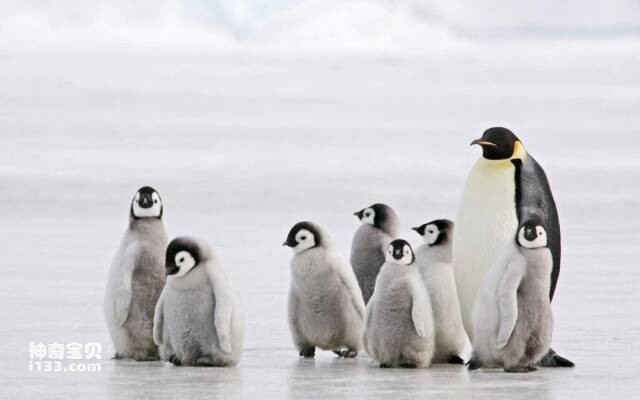 2023060511527471.jpg 9.jpg