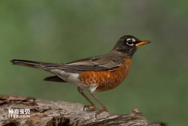 2023060516237054.jpg 8.jpg