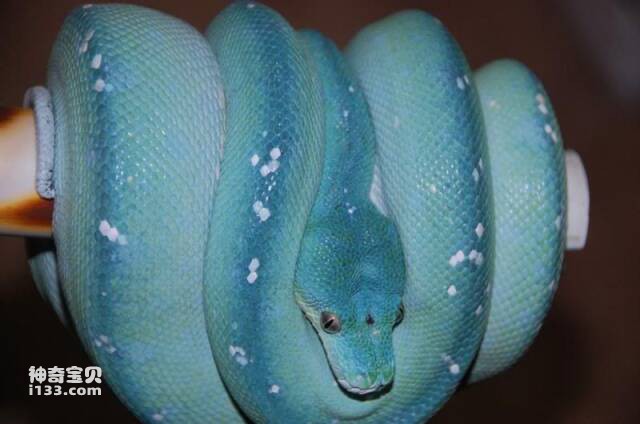 2023060516274041.jpg 13.jpg