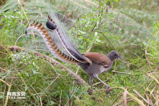 2023060521188889.jpg 7.jpg