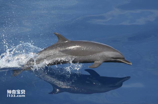 2023060521402877.jpg 4.jpg