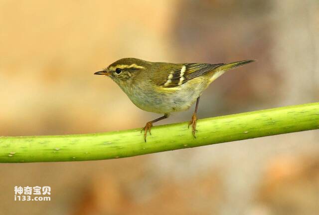 2023060536627296.jpg 10.jpg