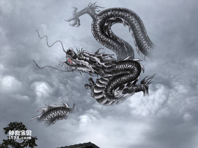 2023060632848603.jpg 9.jpg