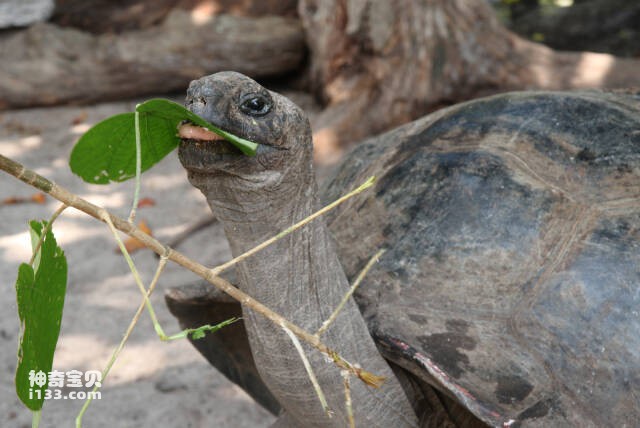 2023060911371800.jpg 33.jpg