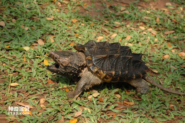 2023060914639688.jpg 8.jpg