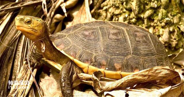 2023060916338161.jpg 5.jpg