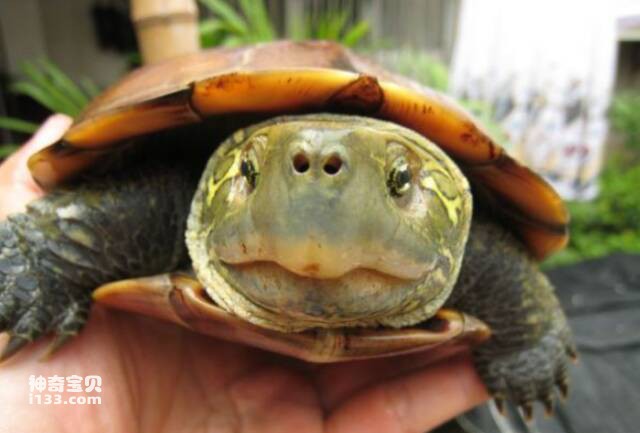 2023060916843022.jpg 10.jpg