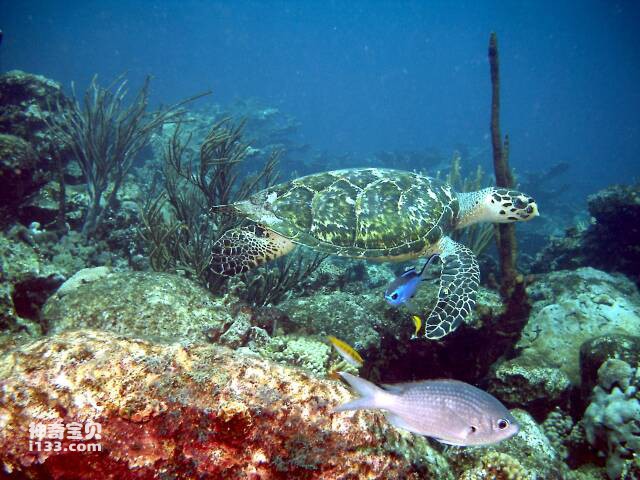 2023060917484136.jpg 11.jpg