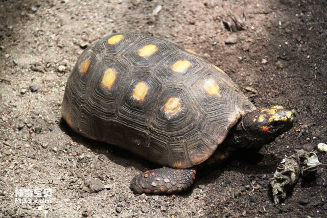 2023060927830838.jpg 9(1).jpg