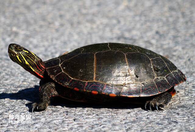 2023060947367830.jpg 6.jpg