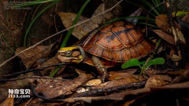 2023060958970644.jpg 3.jpg