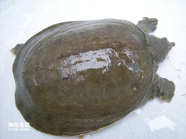 2023060981110333.jpg 9.jpg