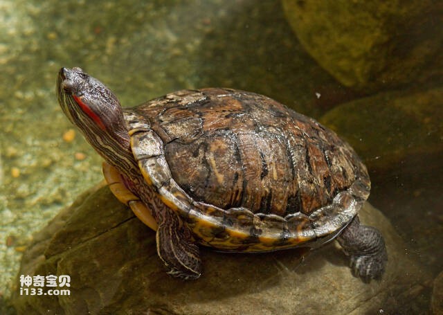 2023060981517792.jpg 2.jpg