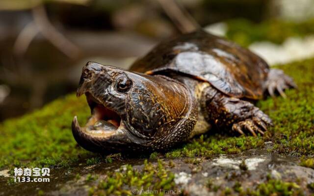 2023060991556038.jpg 7.jpg