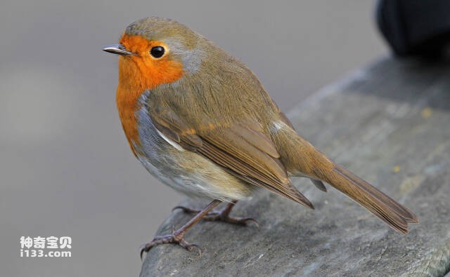 2023061010131857.jpg 9.jpg