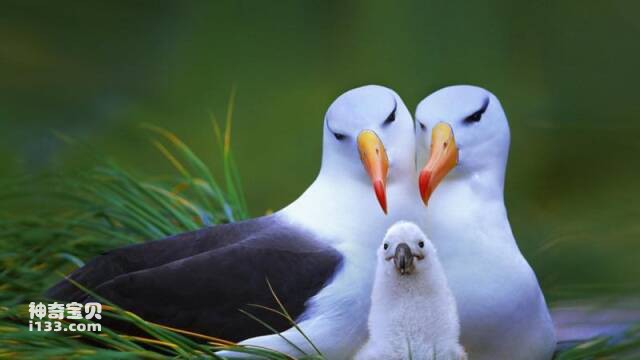 2023061012985704.jpg 4.jpg