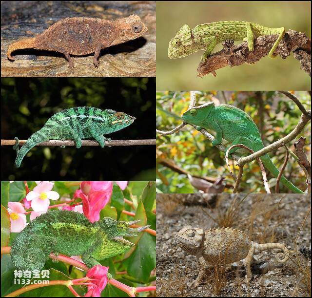 2023061014648392.jpg 4.jpg