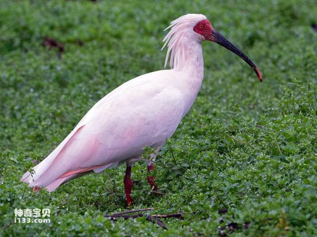 2023061015362693.jpg 8.jpg