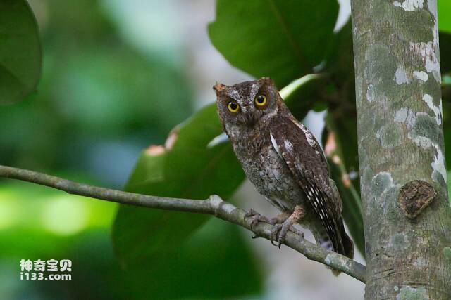 2023061017112809.jpg 2.jpg