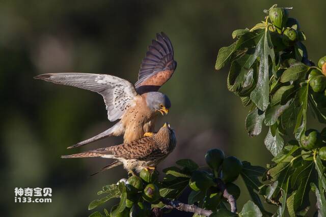 2023061017591866.jpg 11.jpg