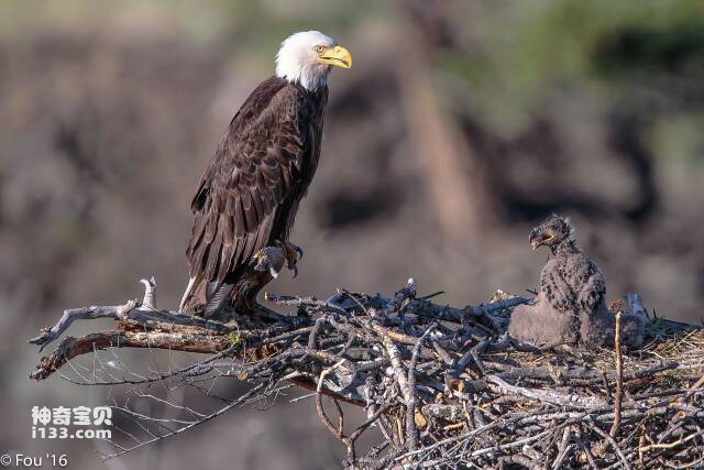 2023061019526501.jpg 3.jpg