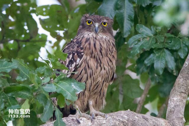 2023061021357831.jpg 22.jpg