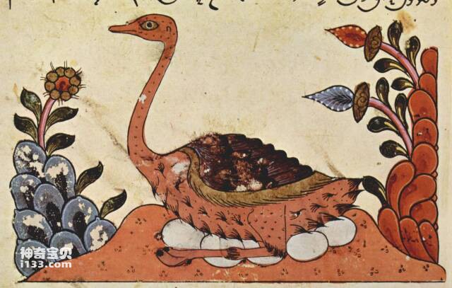 2023061029950947.jpg 7.jpg