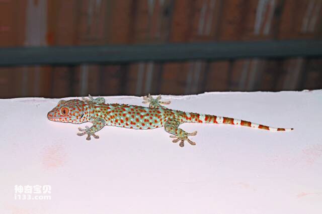 2023061044169225.jpg 99.jpg