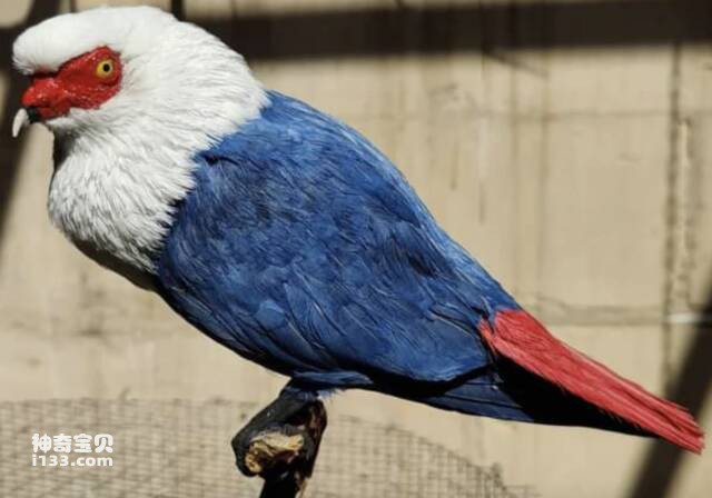 2023061044395405.jpg 4.jpg