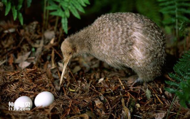 2023061078281720.jpg 2.jpg