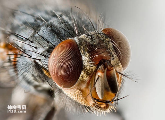 2023061079243141.jpg 7.jpg