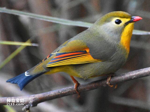 2023061084799971.jpg 6.jpg