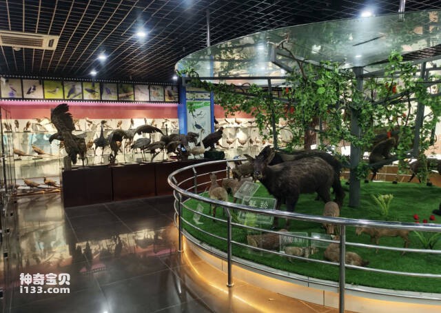 2023061210998596.jpg 5.jpg