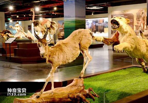 2023061291831838.jpg 77.jpg