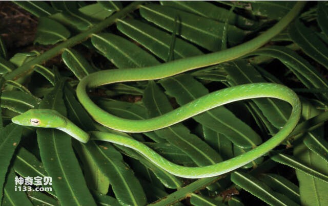 2023061312429362.jpg 7.jpg