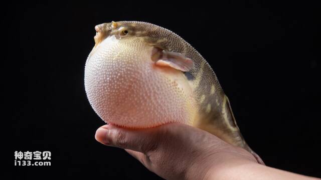 2023061320149793.jpg 2.jpg