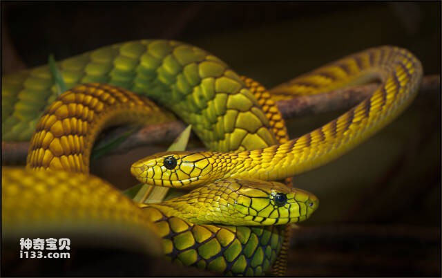 2023061320543704.jpg 8.jpg