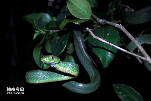 2023061370629813.jpg 5.jpg