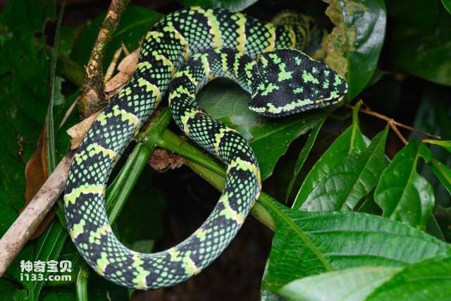 2023061389341719.jpg 10.jpg