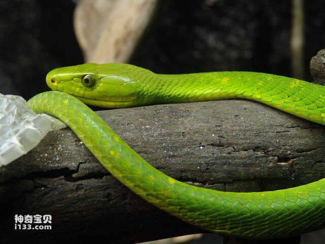 2023061399746902.jpg 3.jpg