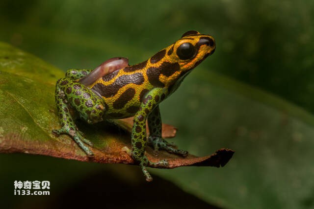 2023061515659247.jpg 10.jpg